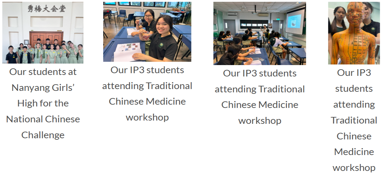 a series of workshops and seminars